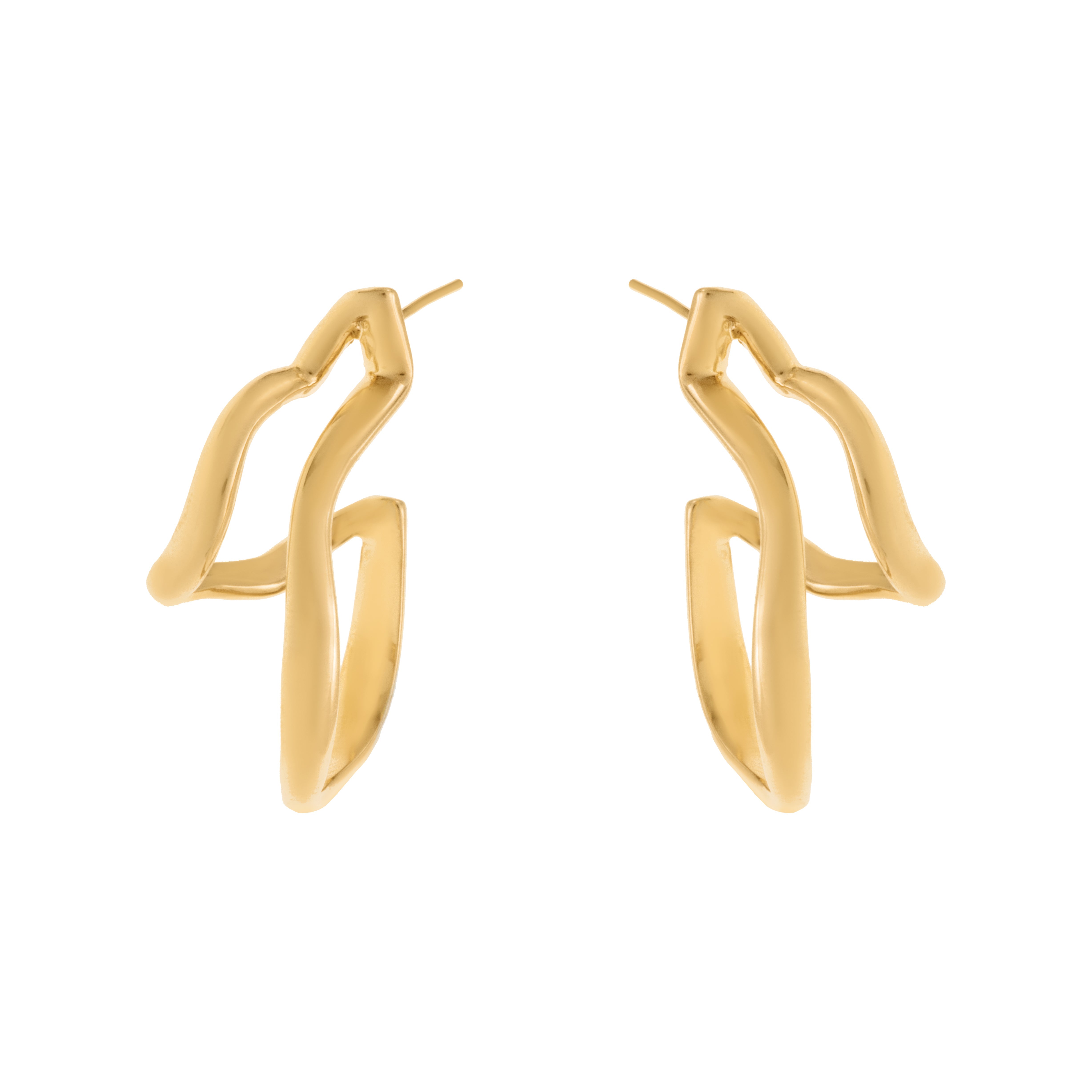 Double Route Earring