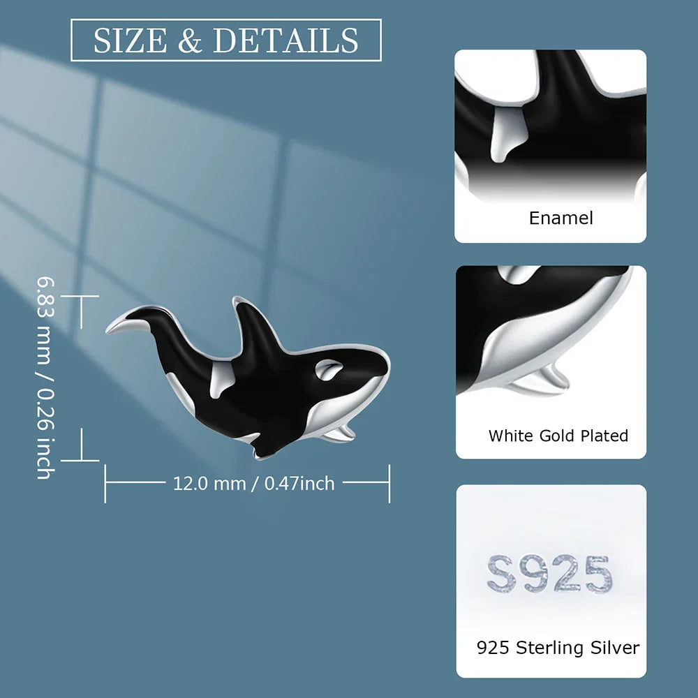 Killer Whale Earrings