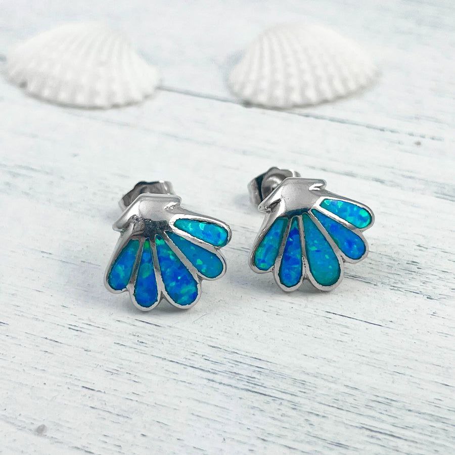 Sea Shell Earrings