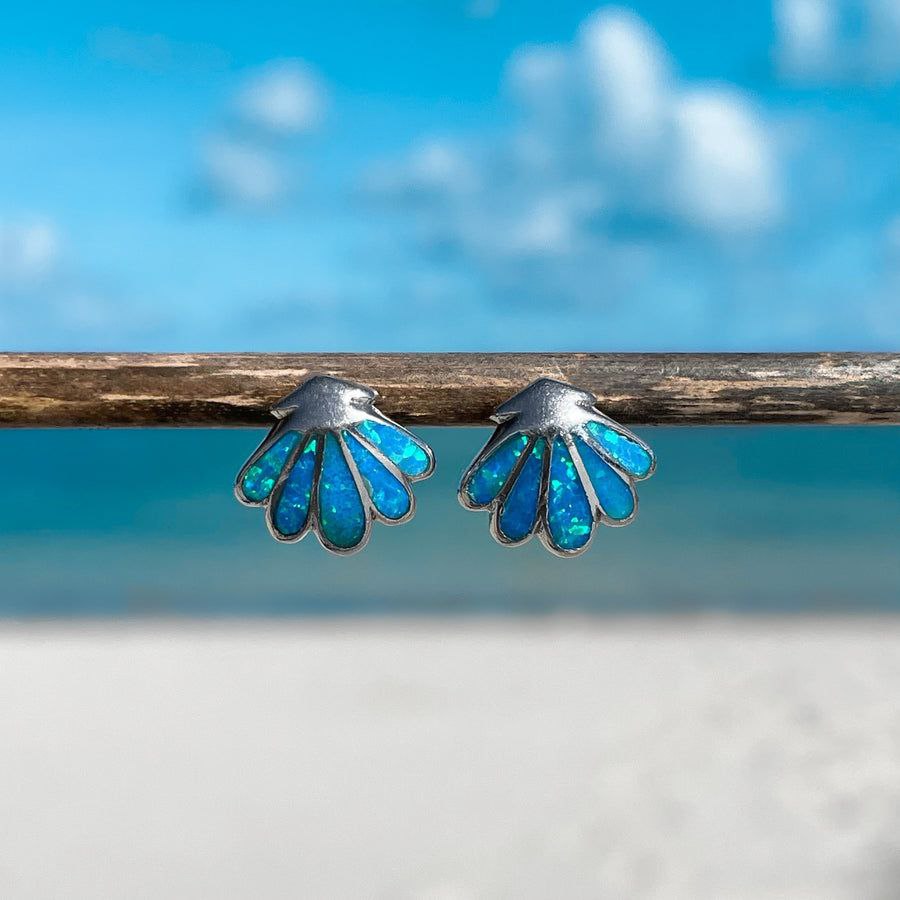 Sea Shell Earrings