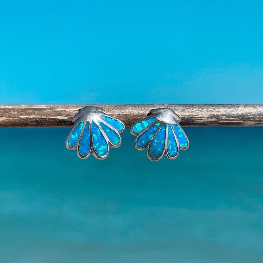 Sea Shell Earrings