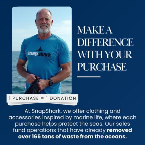 Ocean Shell Earrings