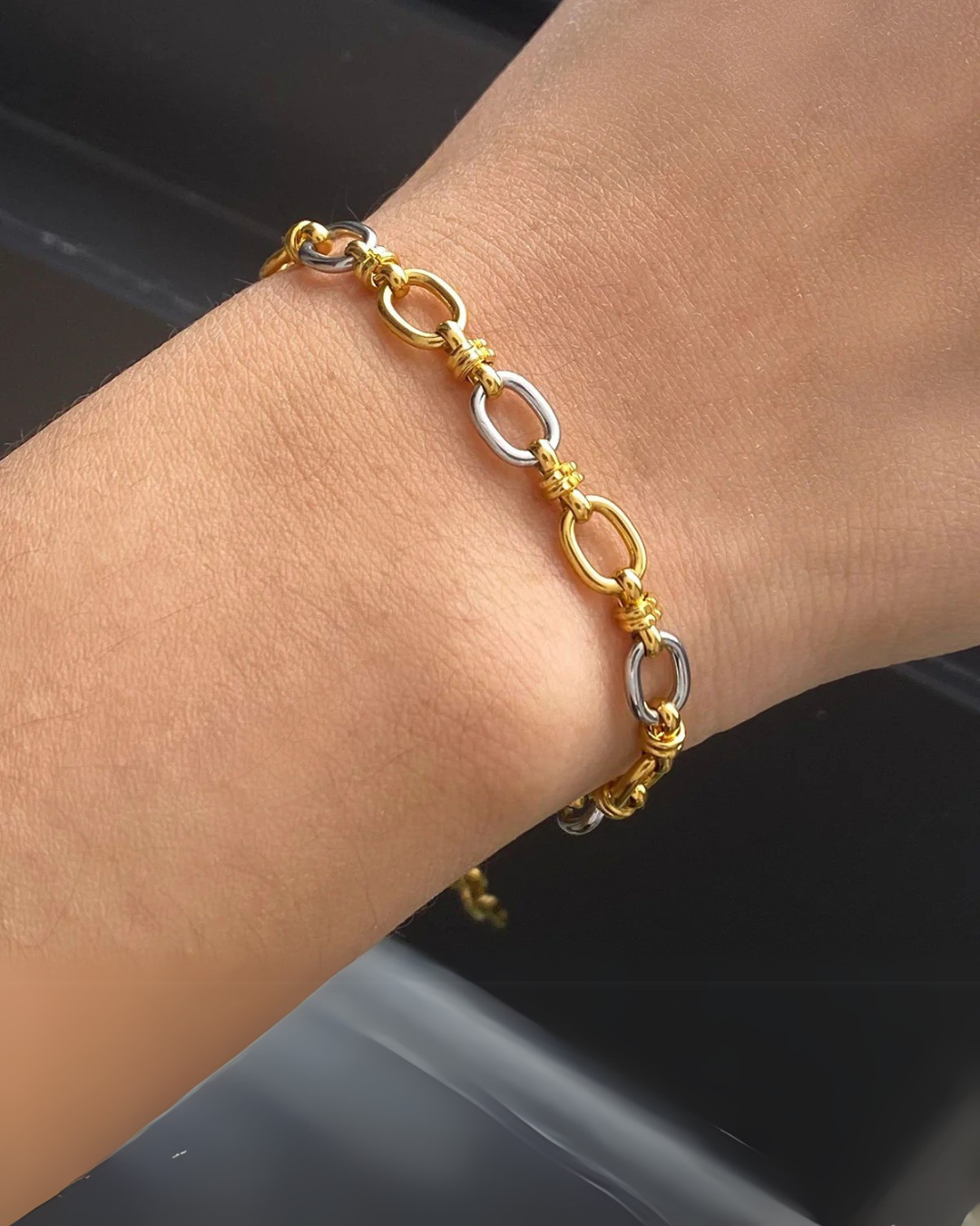 Addison Chain Pulseira e Colar Bicolor em Aço Inoxidável Serenyah